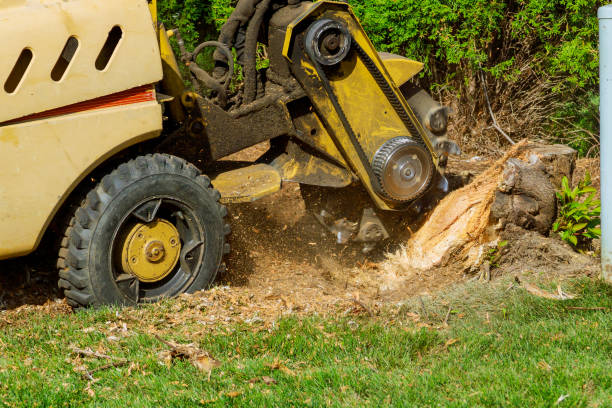 Best Lawn Drainage Solutions  in Washington, NC