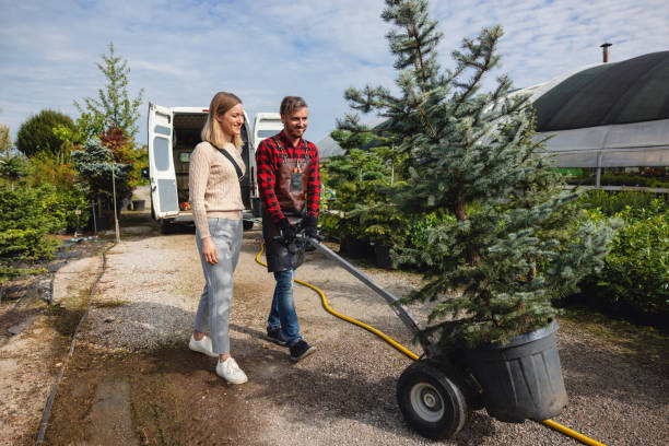 Best Tree Trimming and Pruning  in Washington, NC